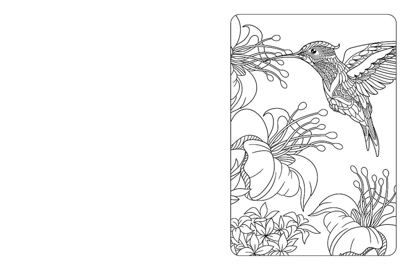 Anxiety Relief Coloring Book for Adults: Mindfulness Coloring to Soothe Anxiety, Book 1, (Paperback)
