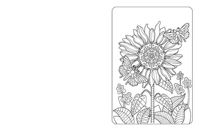 Anxiety Relief Coloring Book for Adults: Mindfulness Coloring to Soothe Anxiety, Book 1, (Paperback)
